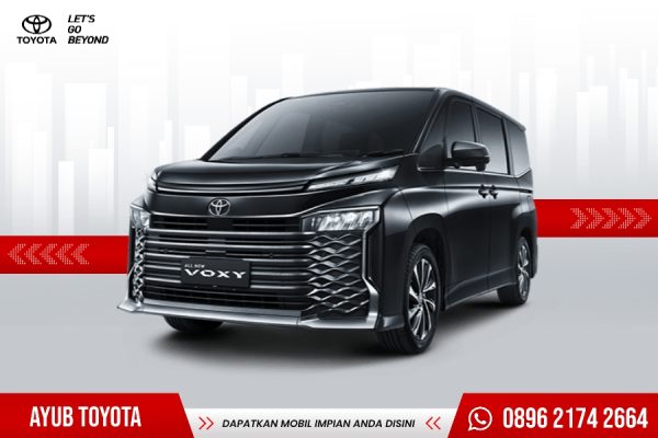 All New Voxy